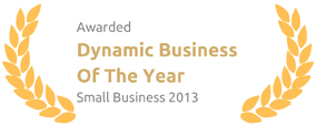 Dynamic Business Of the year 2013